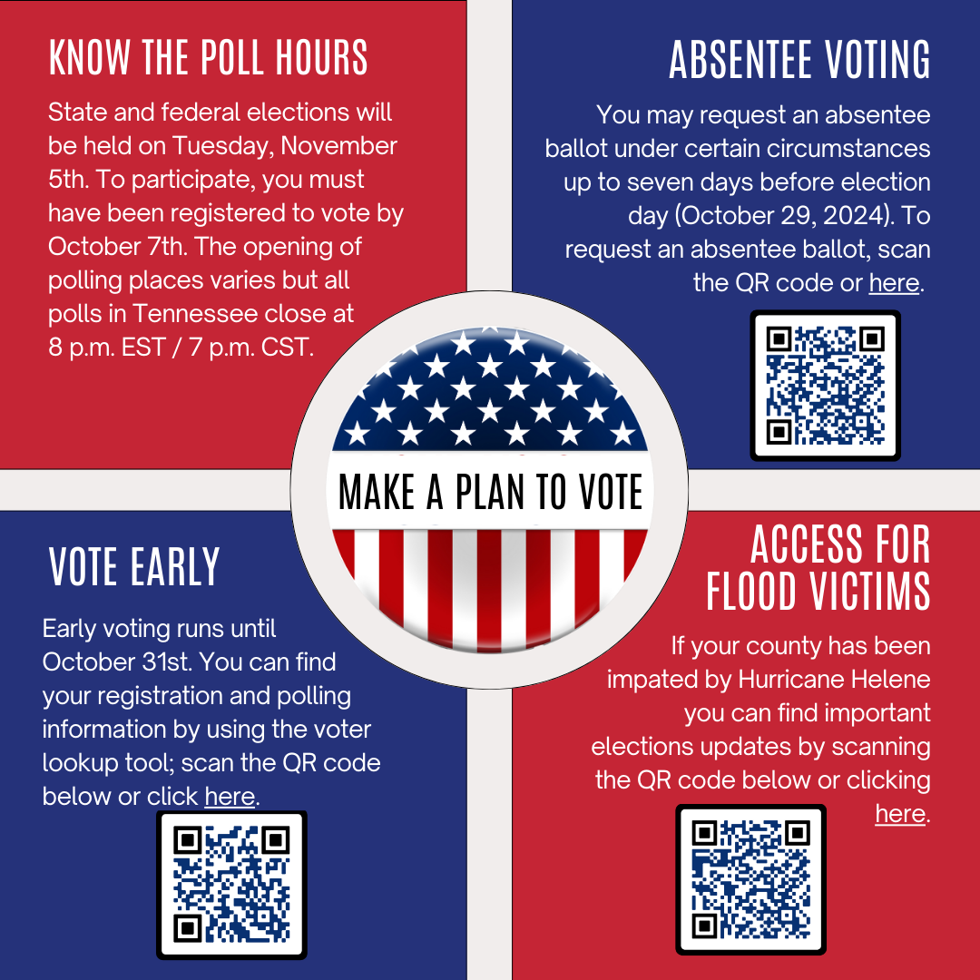 Make a Plan to vote infographic. 